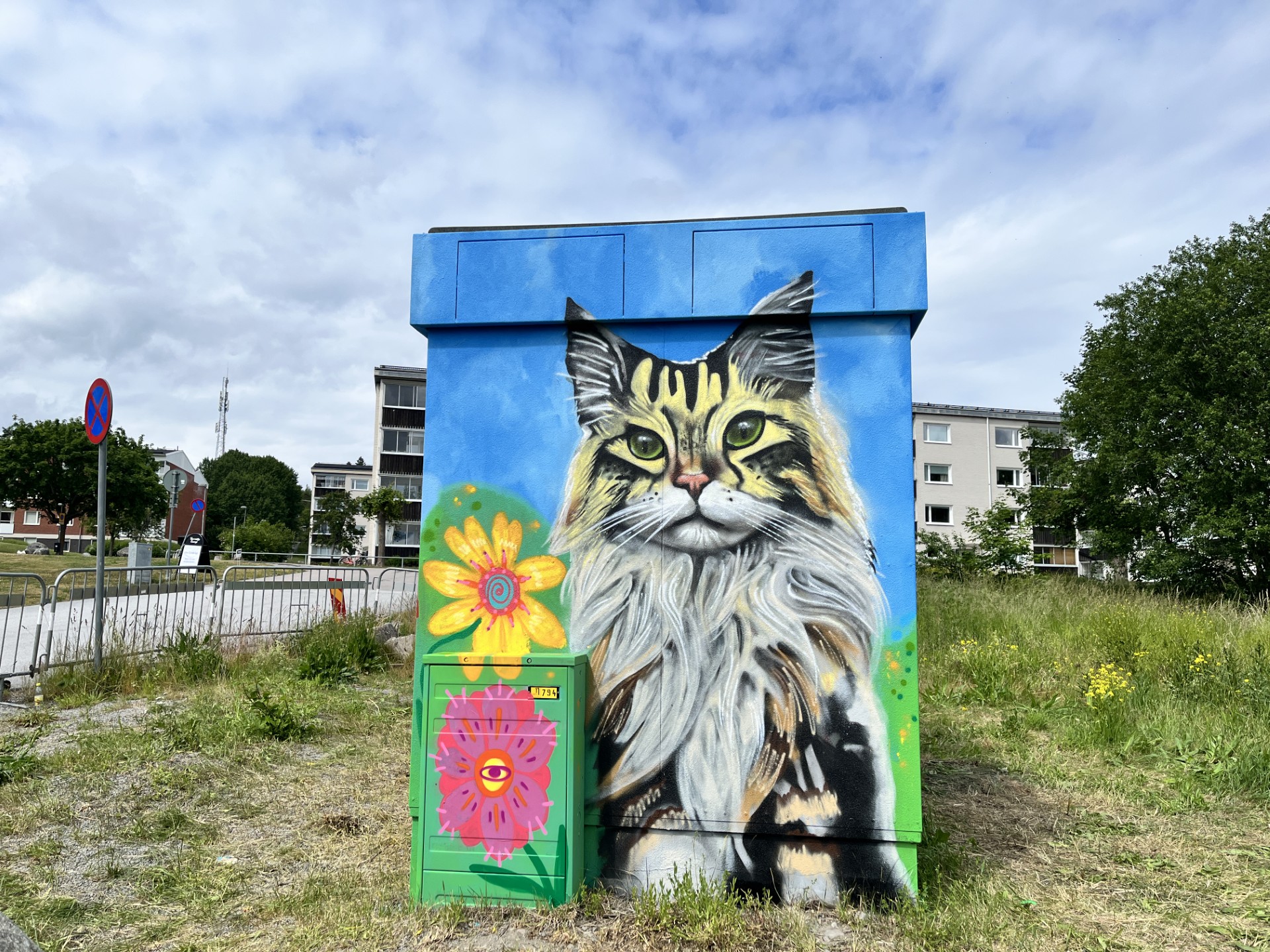 En elnätsstation är målad med färgglad gatukonst som föreställer en förstorad katt.