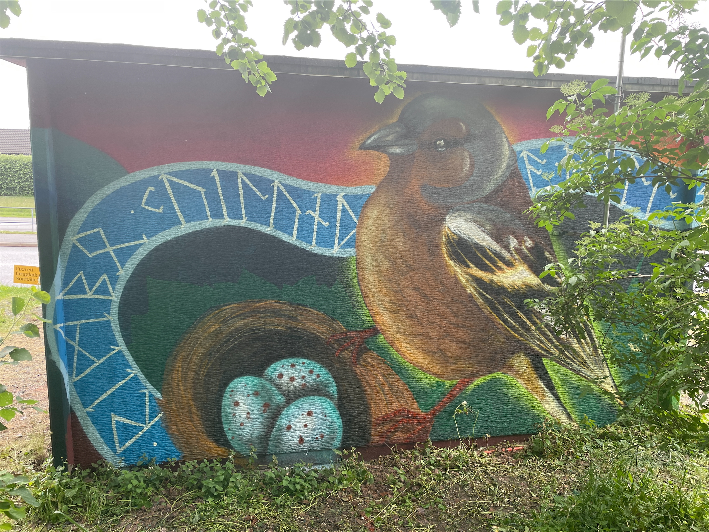 Väggmålning föreställande en brun fågel som står vid sitt bo med tre blå, fläckiga ägg. En blå banderoll med runliknande tecken slingrar sig bakom motivet.