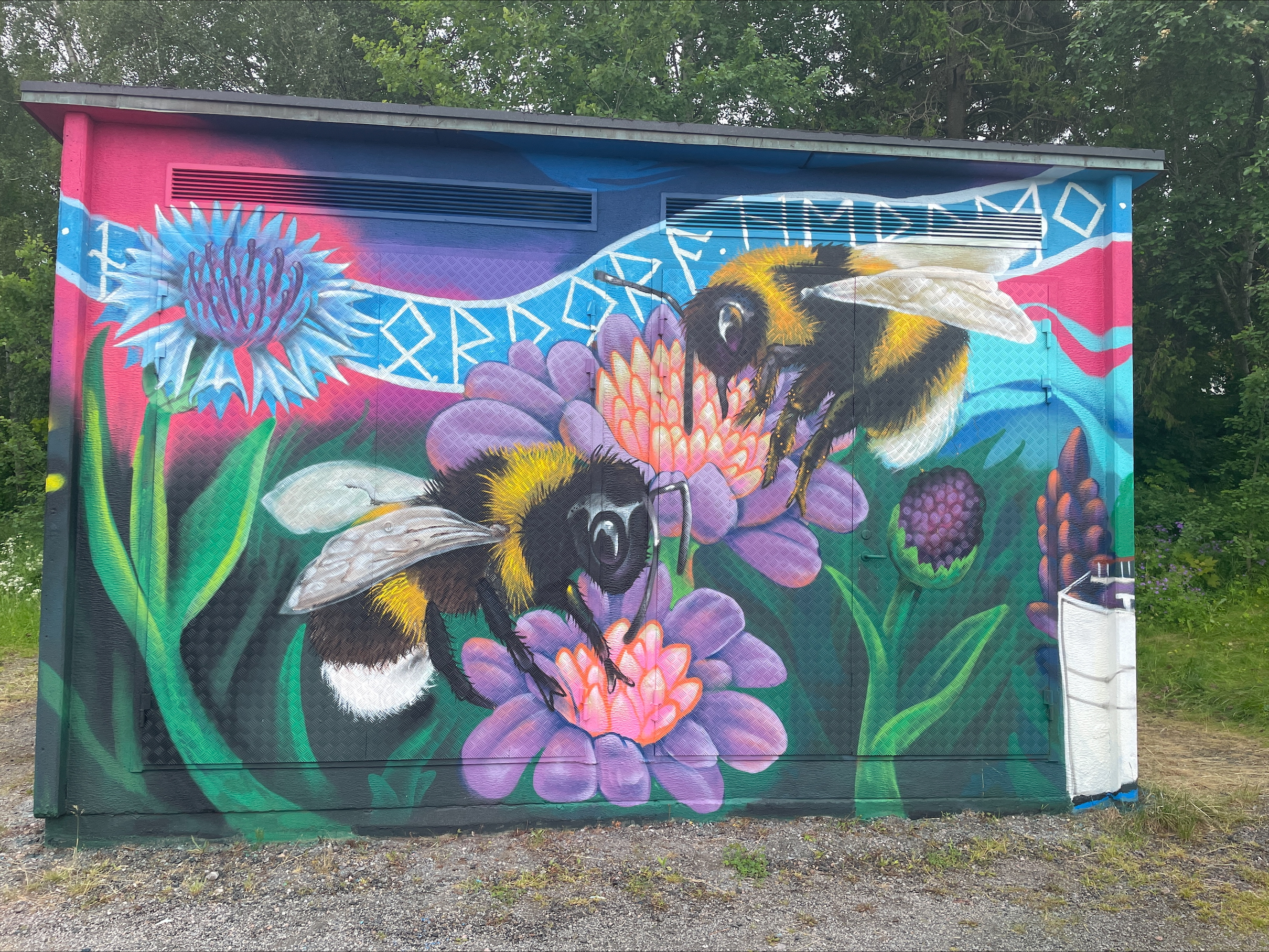 Två detaljrika humlor pollinerar färgglada blommor, omgivna av lila, blå och gröna växter. En blå banderoll med runliknande tecken ramar in motivet på den rosa-blå bakgrunden.