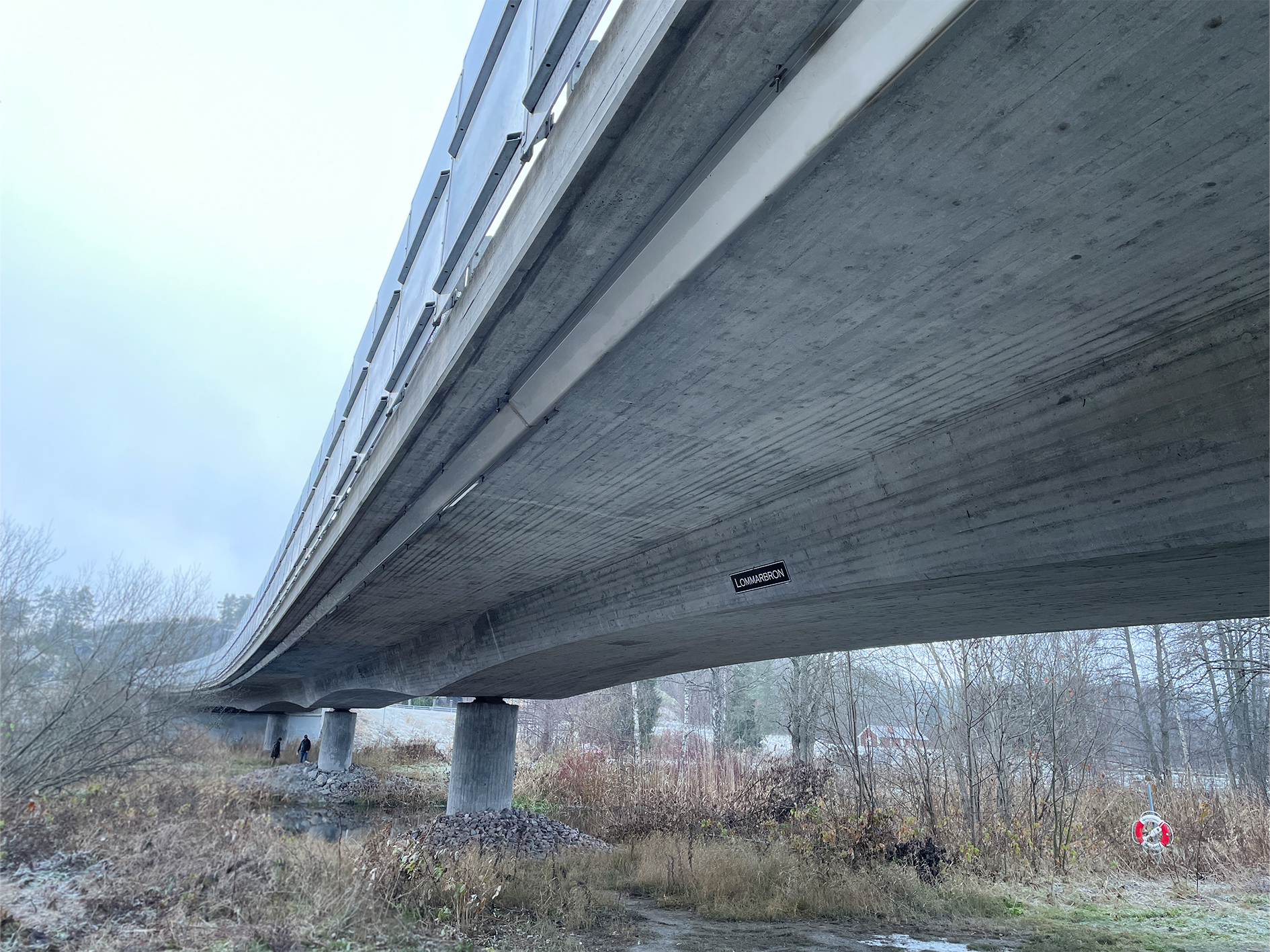 Vy under en bro med betongstöd över ett frostigt och gräsbevuxet område.