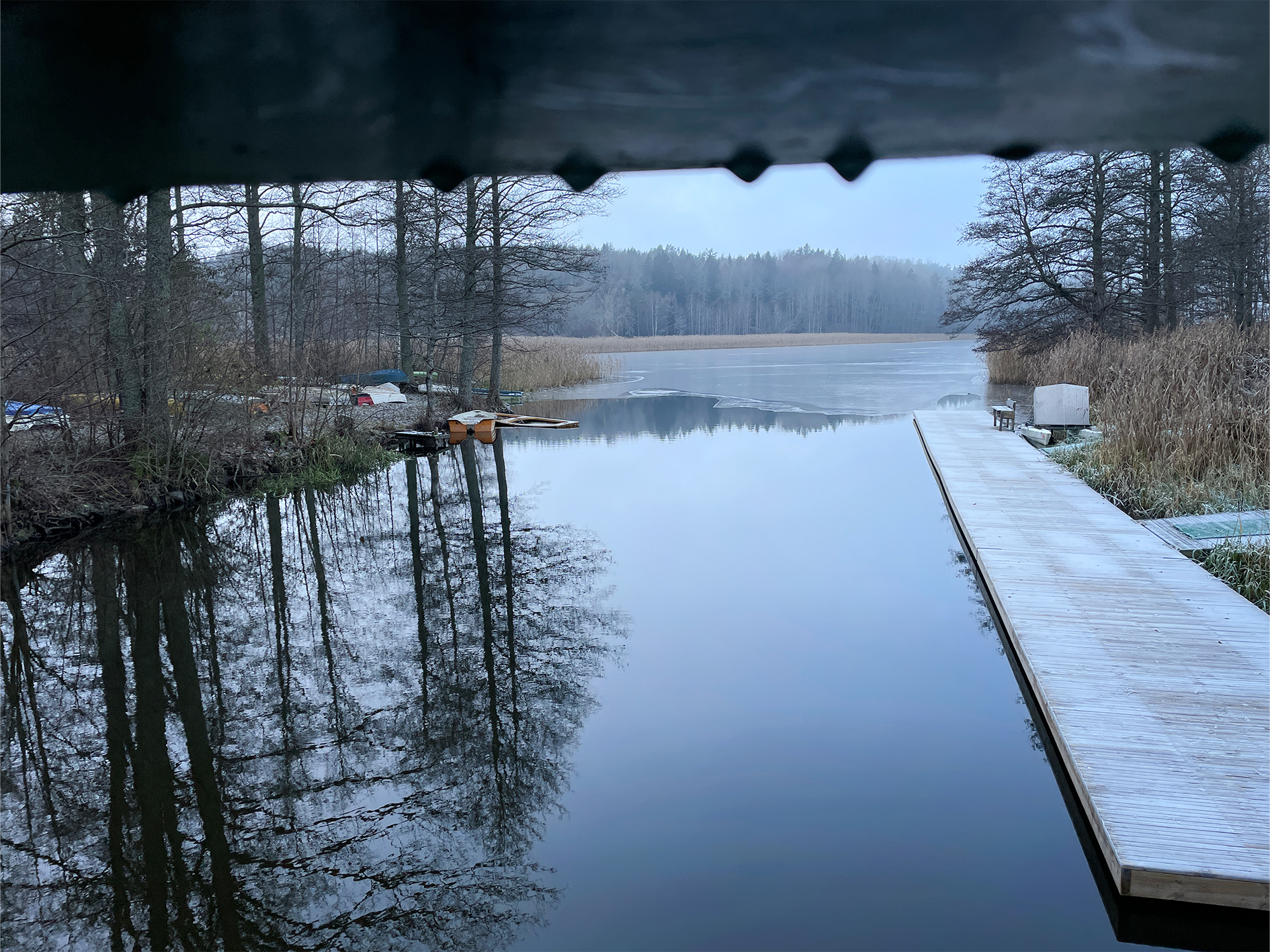 Spegelblankt vatten med brygga och frostiga träd i vinterlandskap.