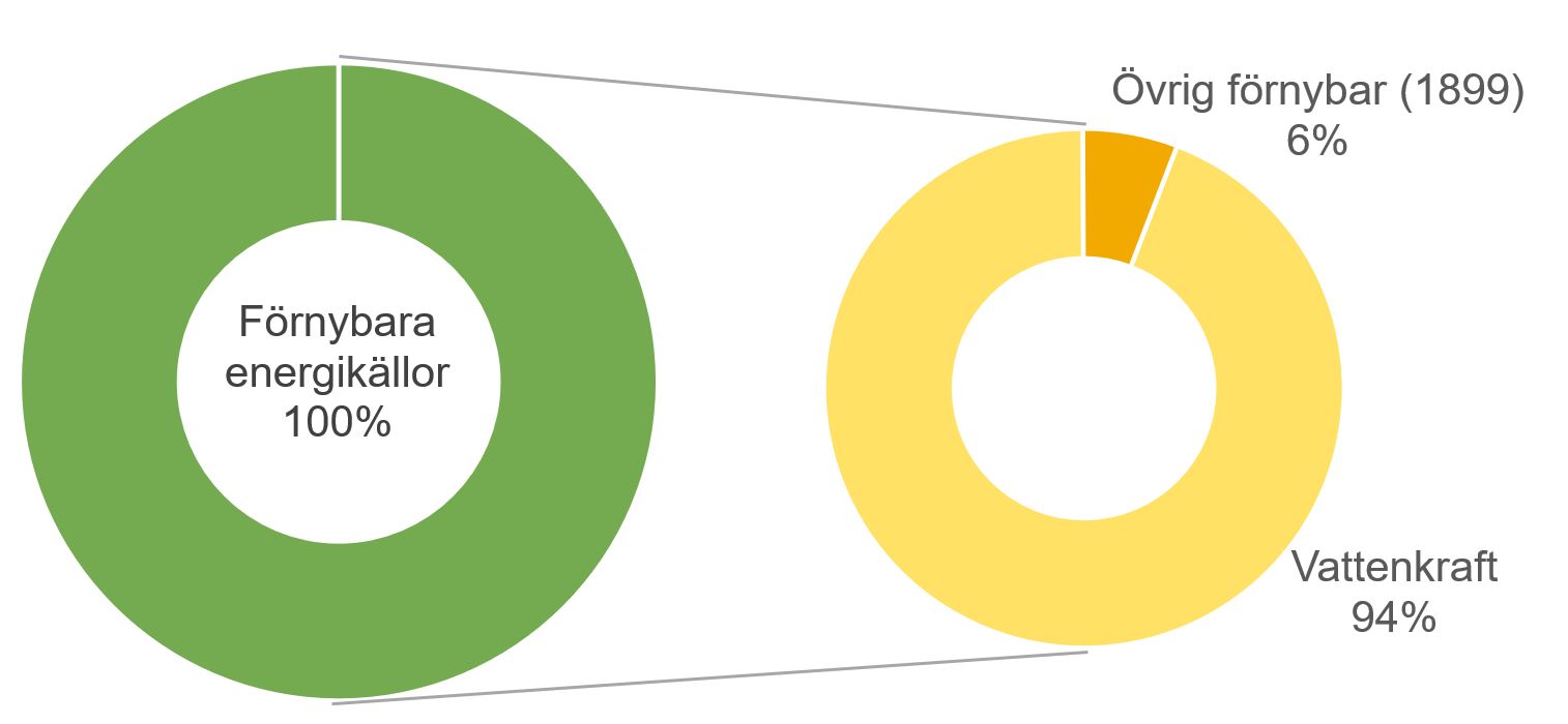 Cirkeldiagram: 100 procent förnybart, varav 94 procent vattenkraft och 6 procent övrigt.
